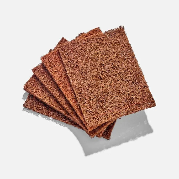 Zero Waste Club - Biodegradable Plastic Free Coconut Kitchen Scourers-5 Pack